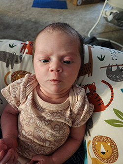 A baby with a calm expression is lying on a pillow decorated with illustrations of animals, including a tiger, sloth, and hedgehog. The baby is wearing a light-colored onesie with a floral pattern.